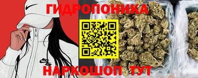 спайс Кулебаки