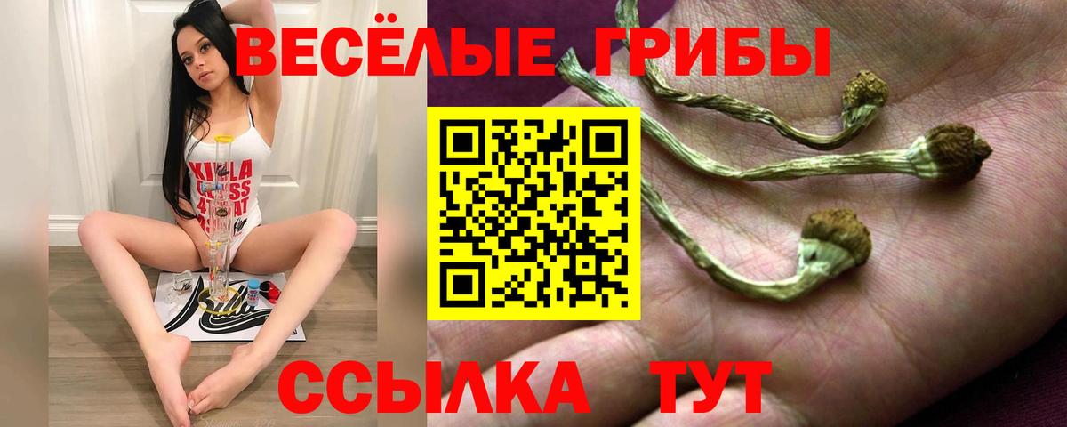 Елец  Псилоцибиновые грибы Psilocybine cubensis  Вход с VPN 
