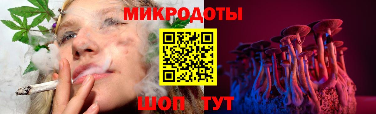 Псилоцибиновые грибы мицелий Елец
