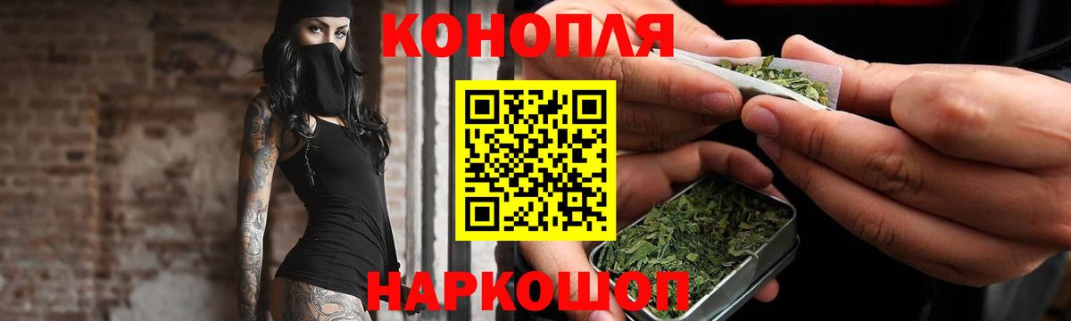 Бошки Шишки семена Елец